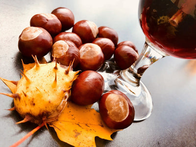 Spice is in Season - Must Try Autumn Wines