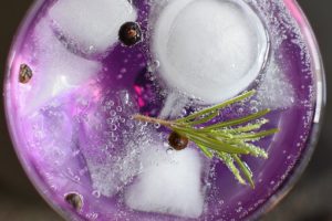 Discover How to Choose Your Festive Season Gin