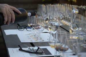 How to Become a Pro in the Wonderful World of Wine Tasting